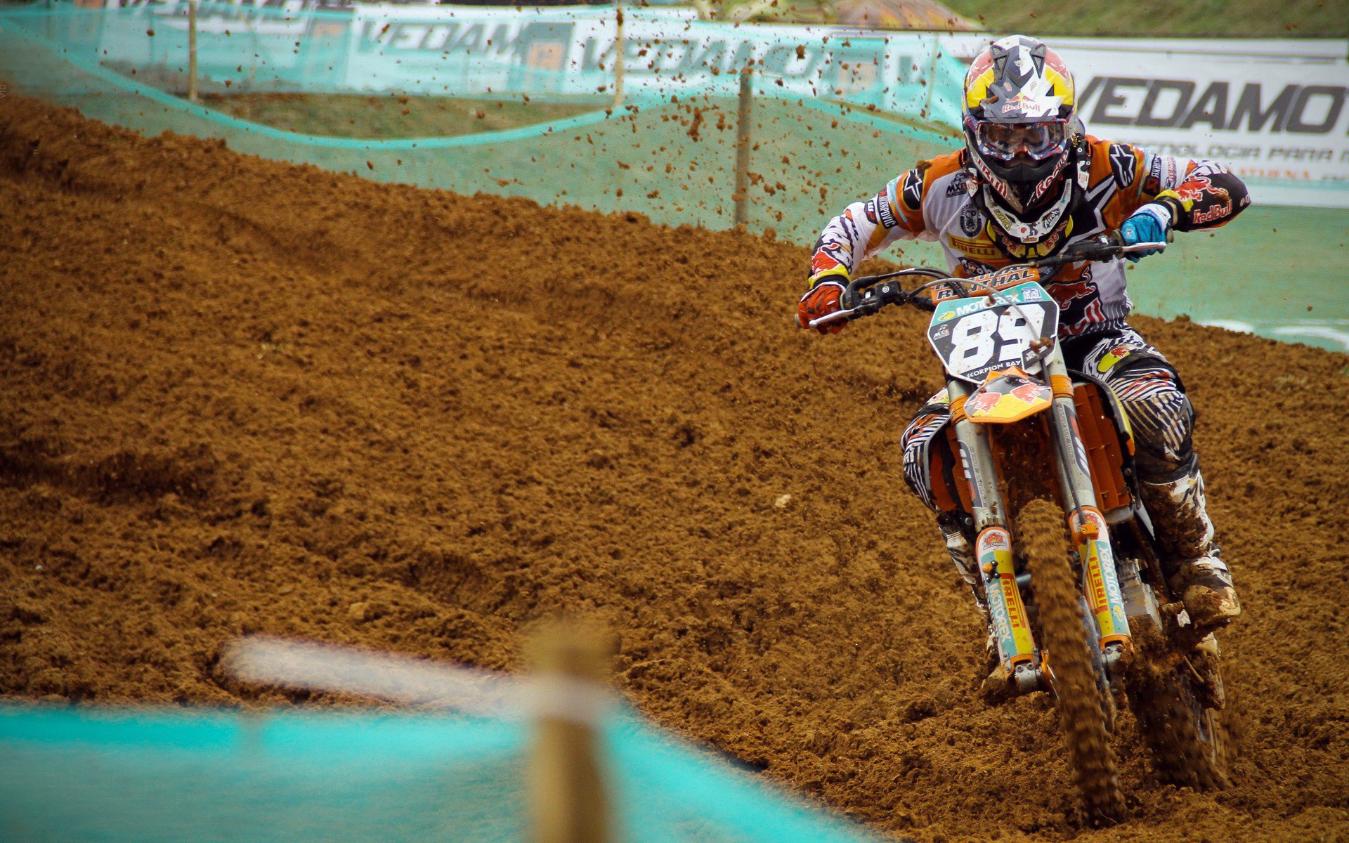 2026年世界残疾人游泳锦标赛 中国队实现多个级别金牌突破